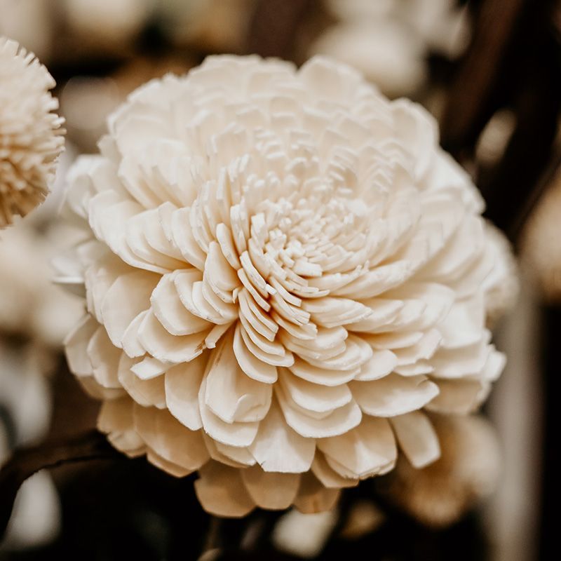 flowersbyflox