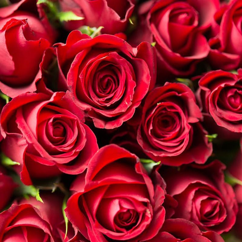 flowersbyflox
