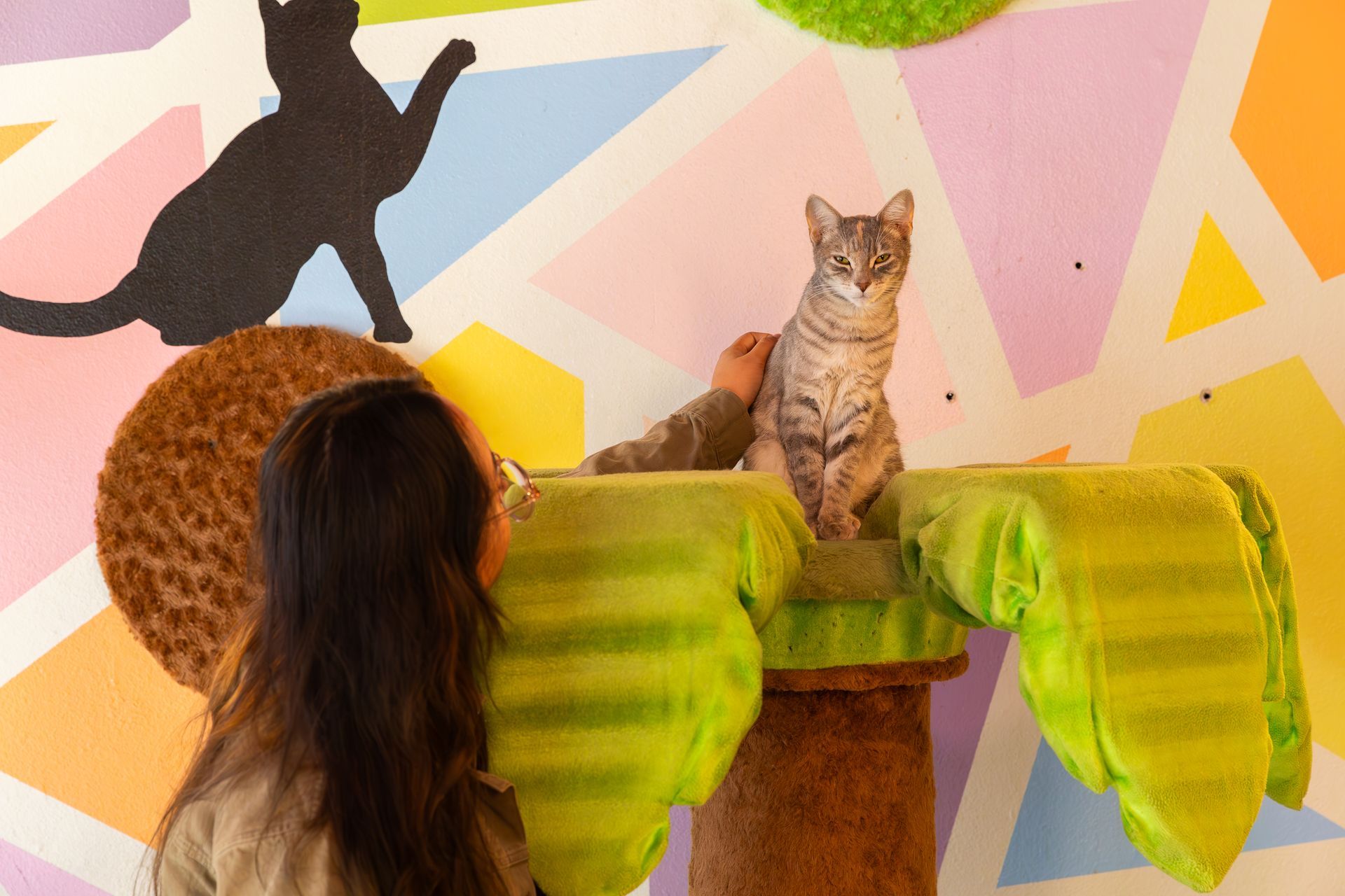 A woman is looking at a cat on a cat tree