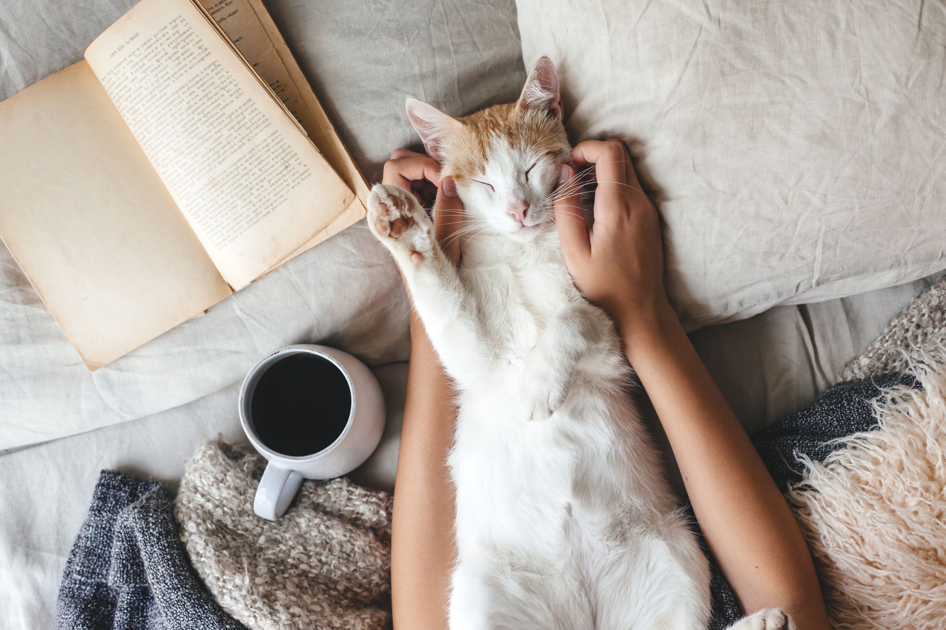 A person is laying on a bed with a cat and a cup of coffee.