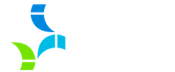 IDT main logo