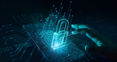 image of computer showing locked out or protected environmnet