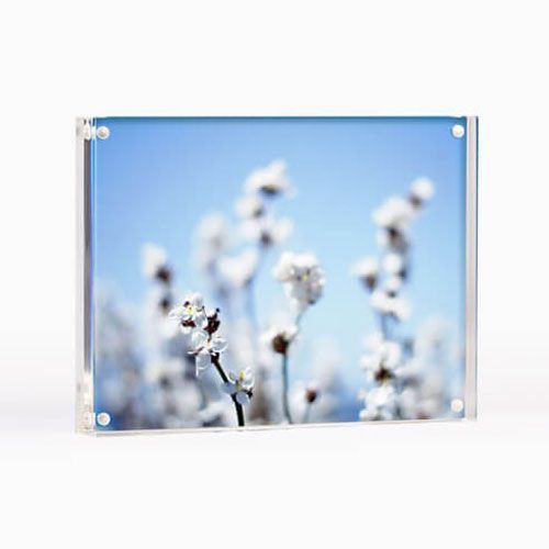White blossoms against a soft blue sky, framed in a clear acrylic display plaque.