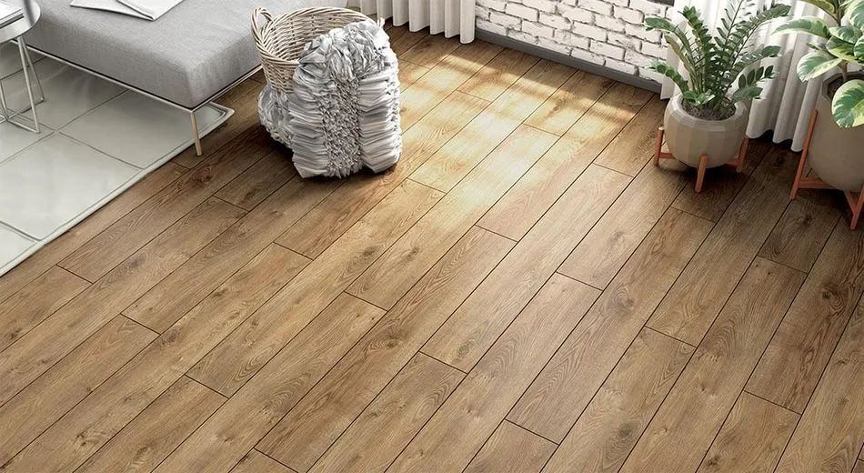 A living room with a wooden floor and potted plants.