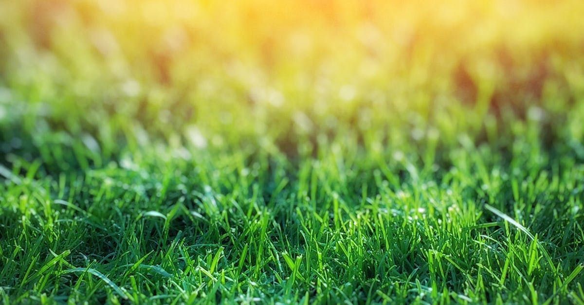 advantages of artificial grass
