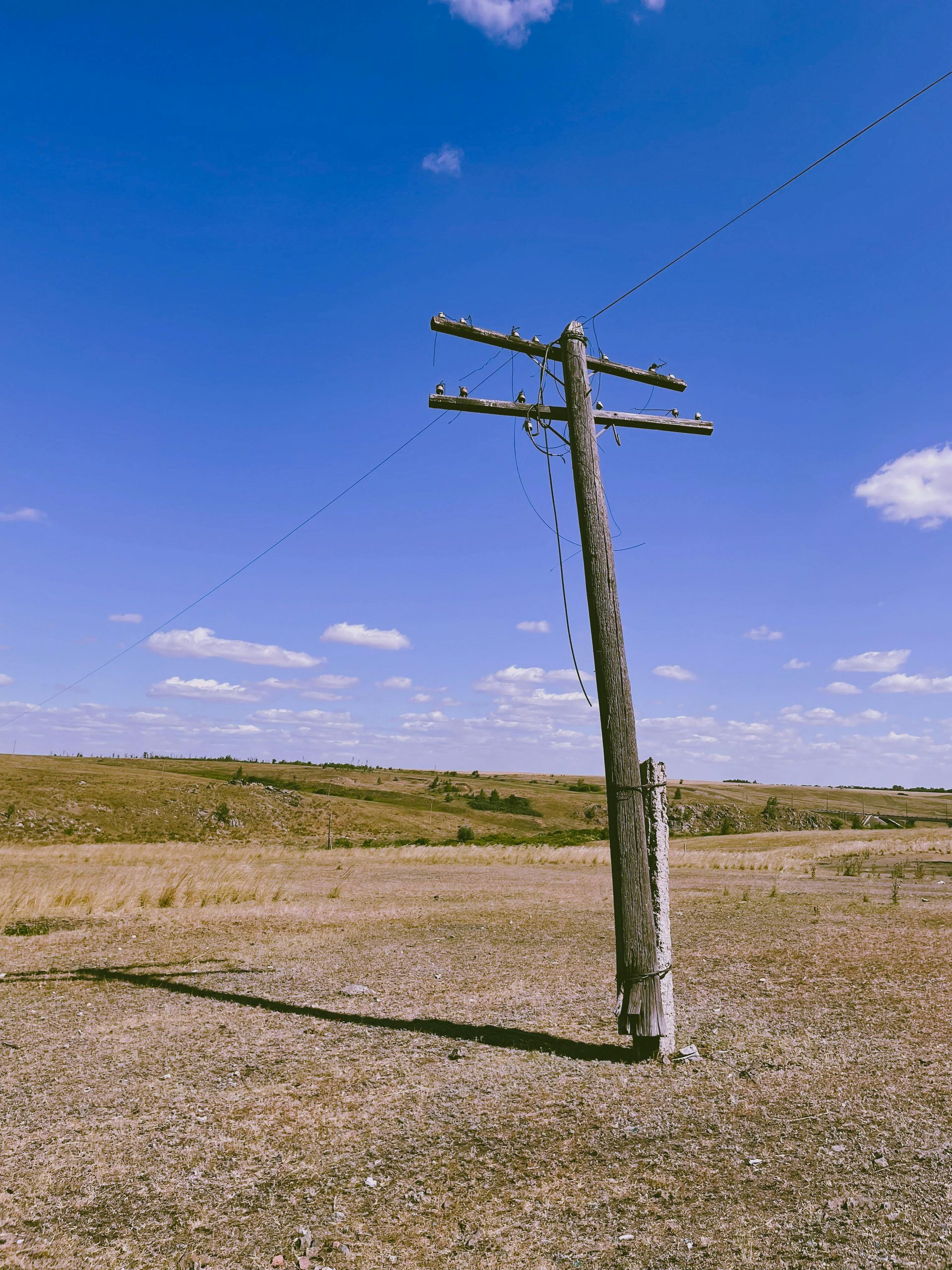 A telephone pole with wires dangling in the middle of a field with a blue sky in the background.