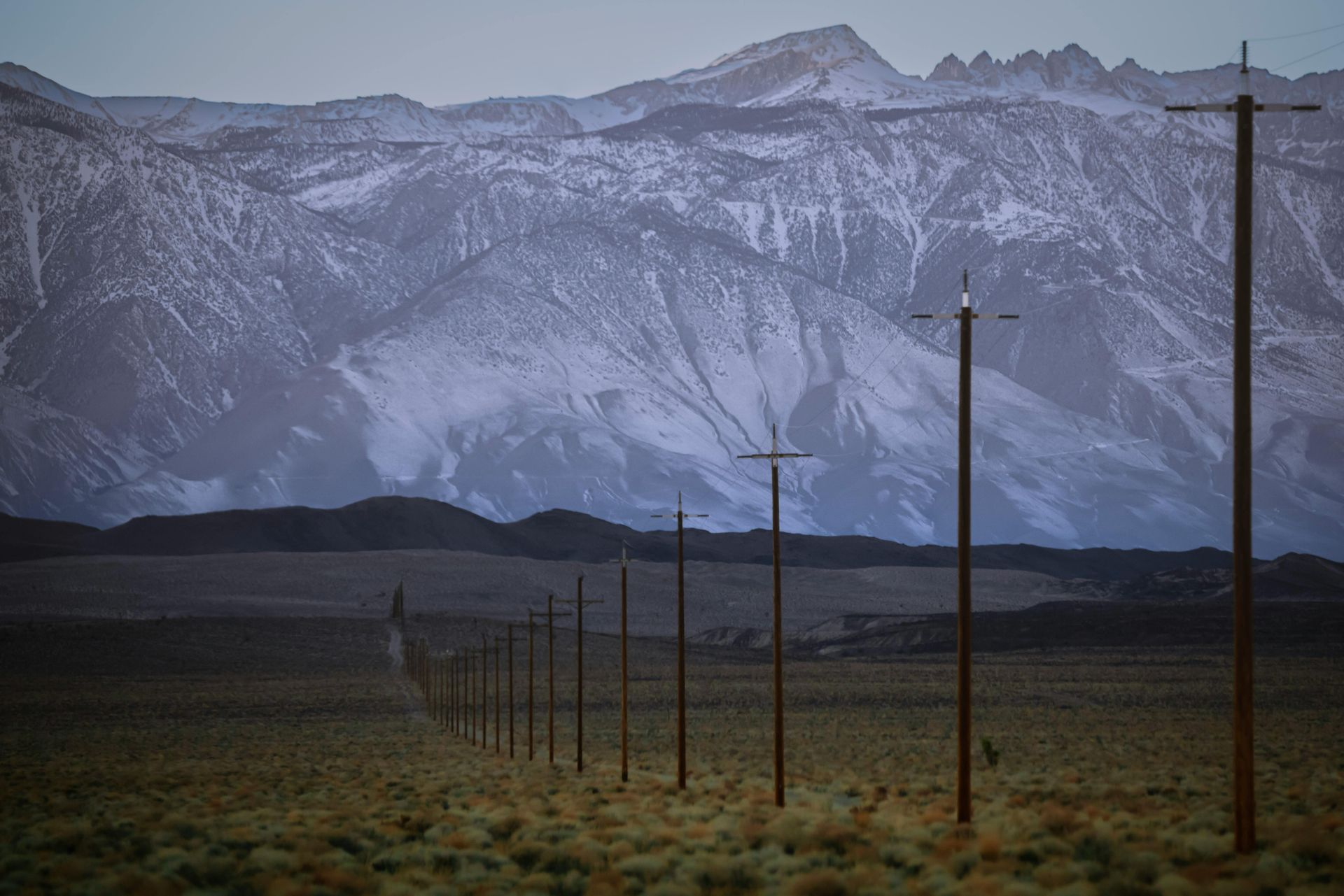 A row of power lines in a desert with snowy mountains in the background.