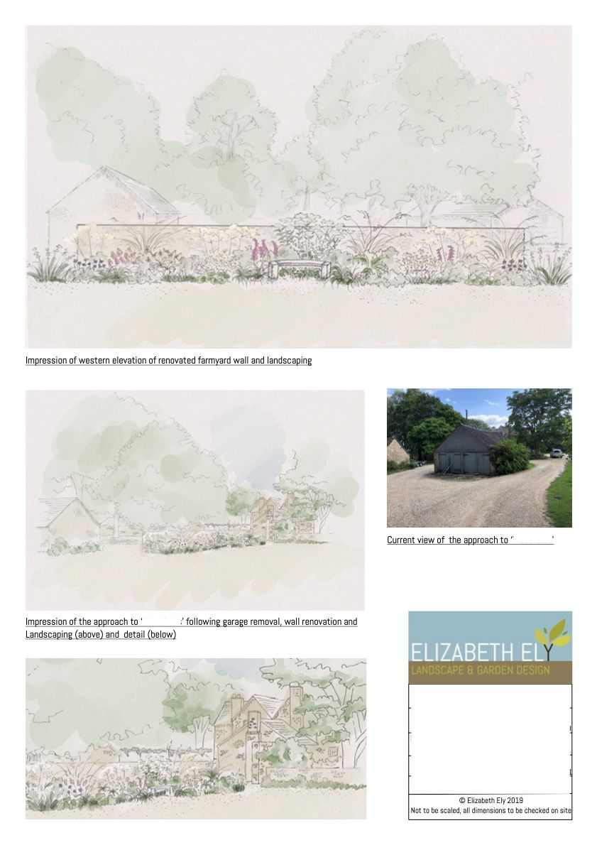 Garden design, 3d elevation drawing, planting, wildlife-friendly, nature, rural, naturalistic, bench, stone wall, farm wall