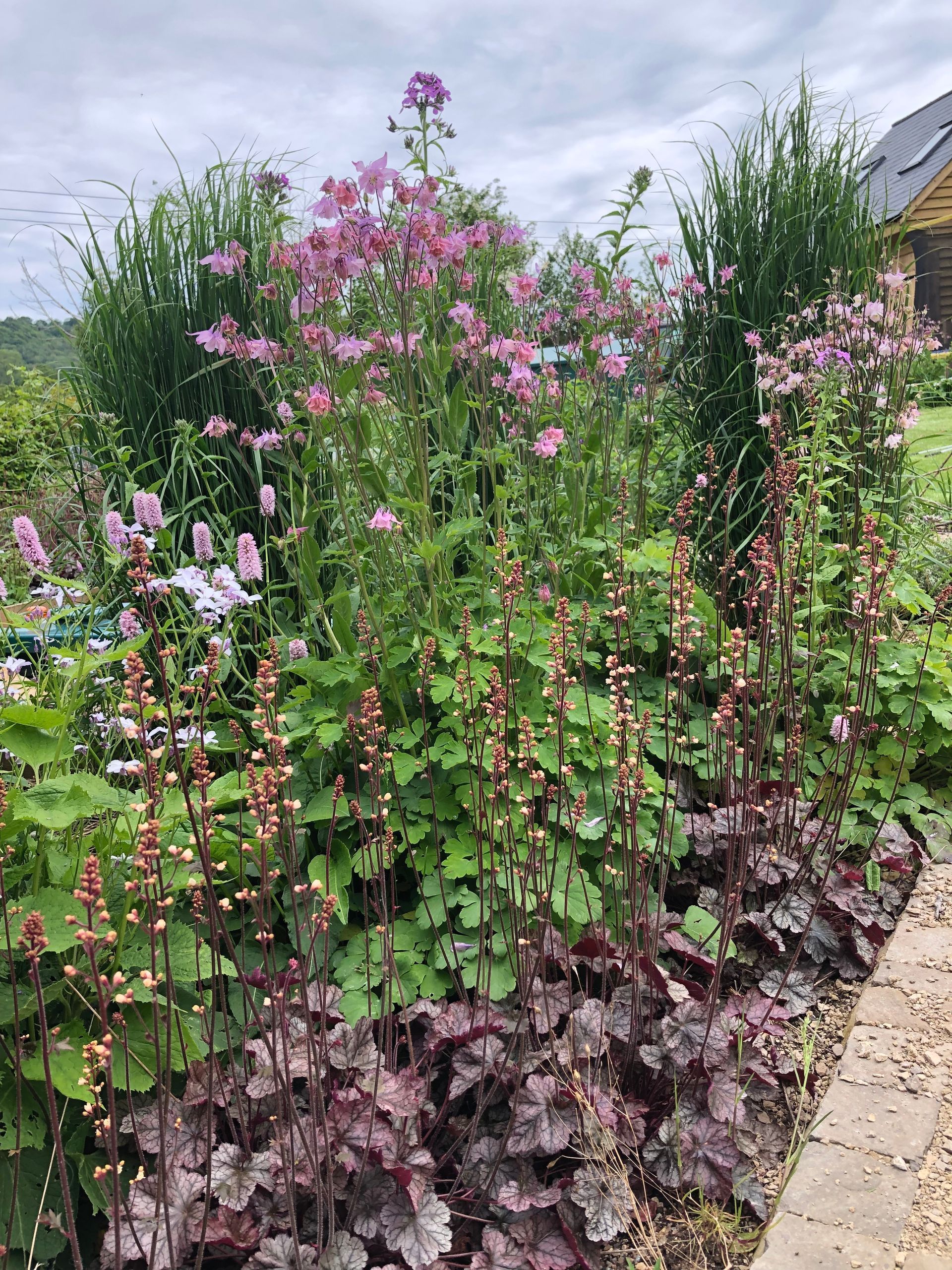Planting design, wildlife-friendly, cotswold, cottage, farmhouse, aquilegia, persicaria, grasses, pink, spring