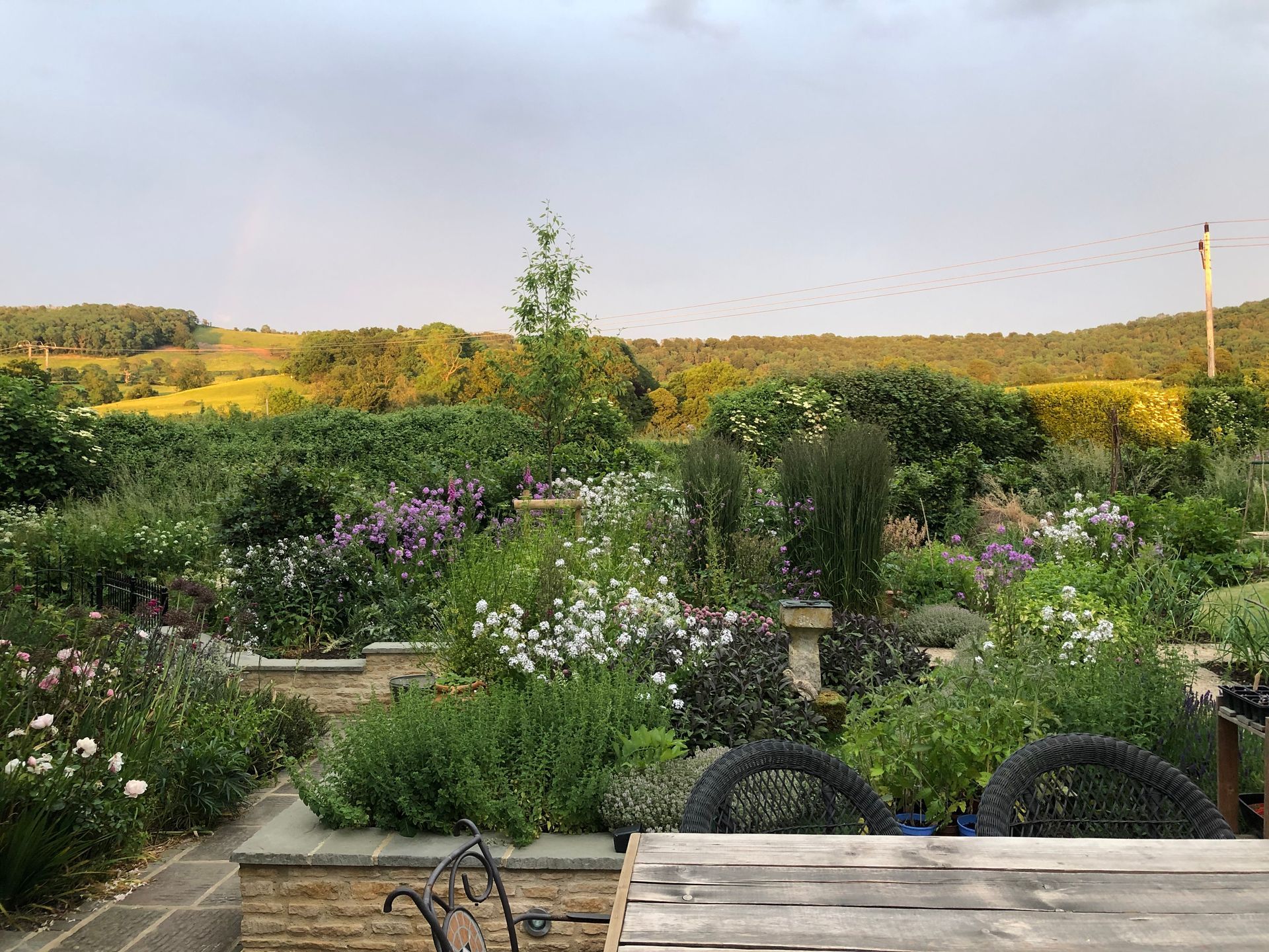 Garden design, planting, wildlife-friendly, pollinators, organic, cotswold, cottage, farmhouse, naturalistic, herbs