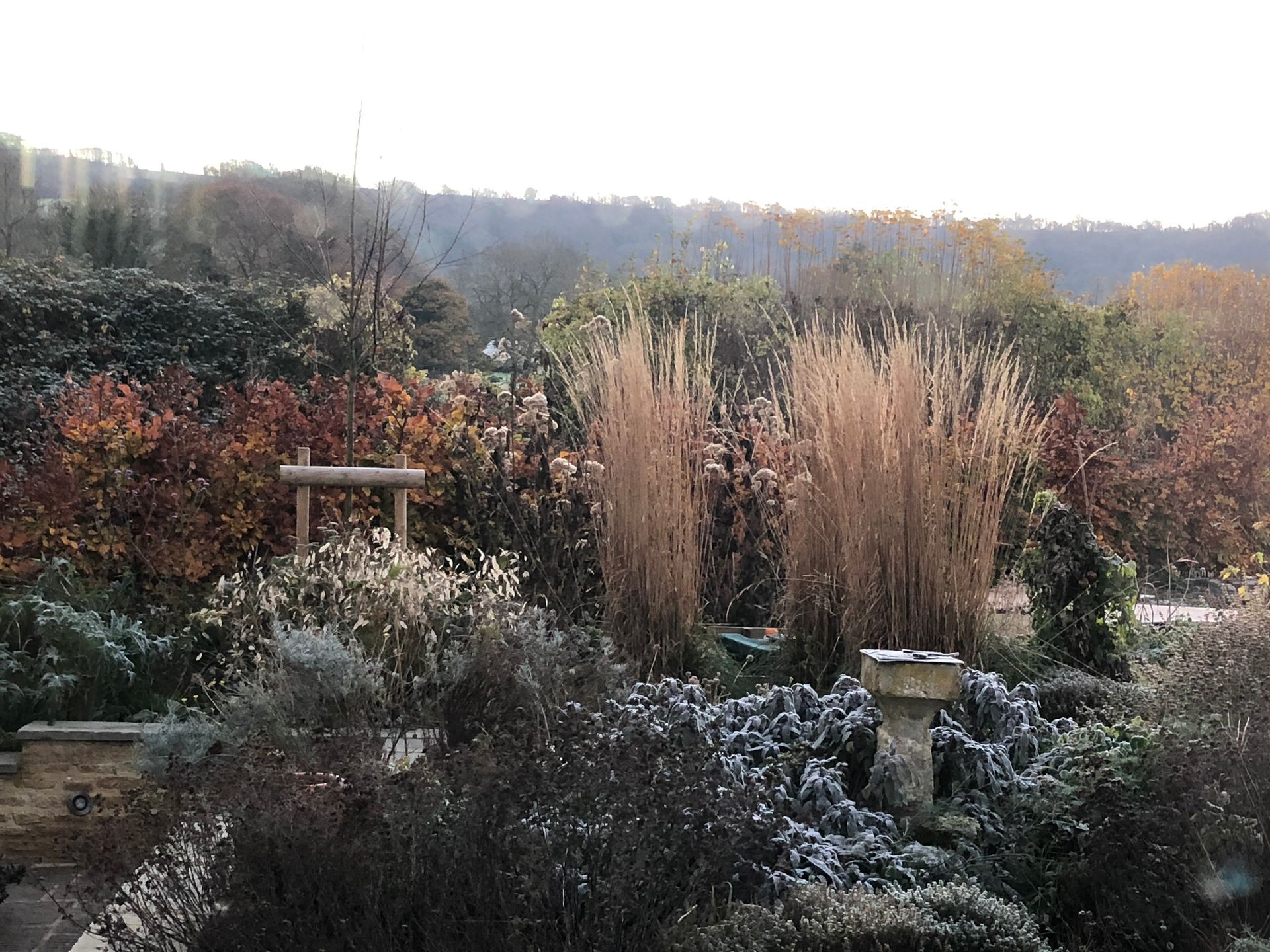 Garden planting design, wildlife-friendly, winter seasonal structure interest, birds, seeds, naturalistic, grasses, herbs