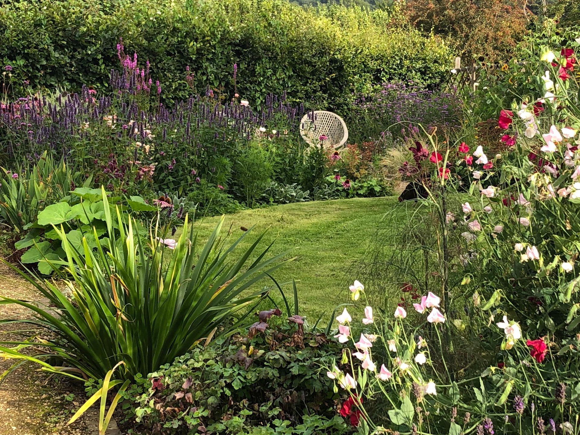 Garden design, planting, wildlife-friendly, pollinators, cottage, beech hedge, seating area, circular lawn