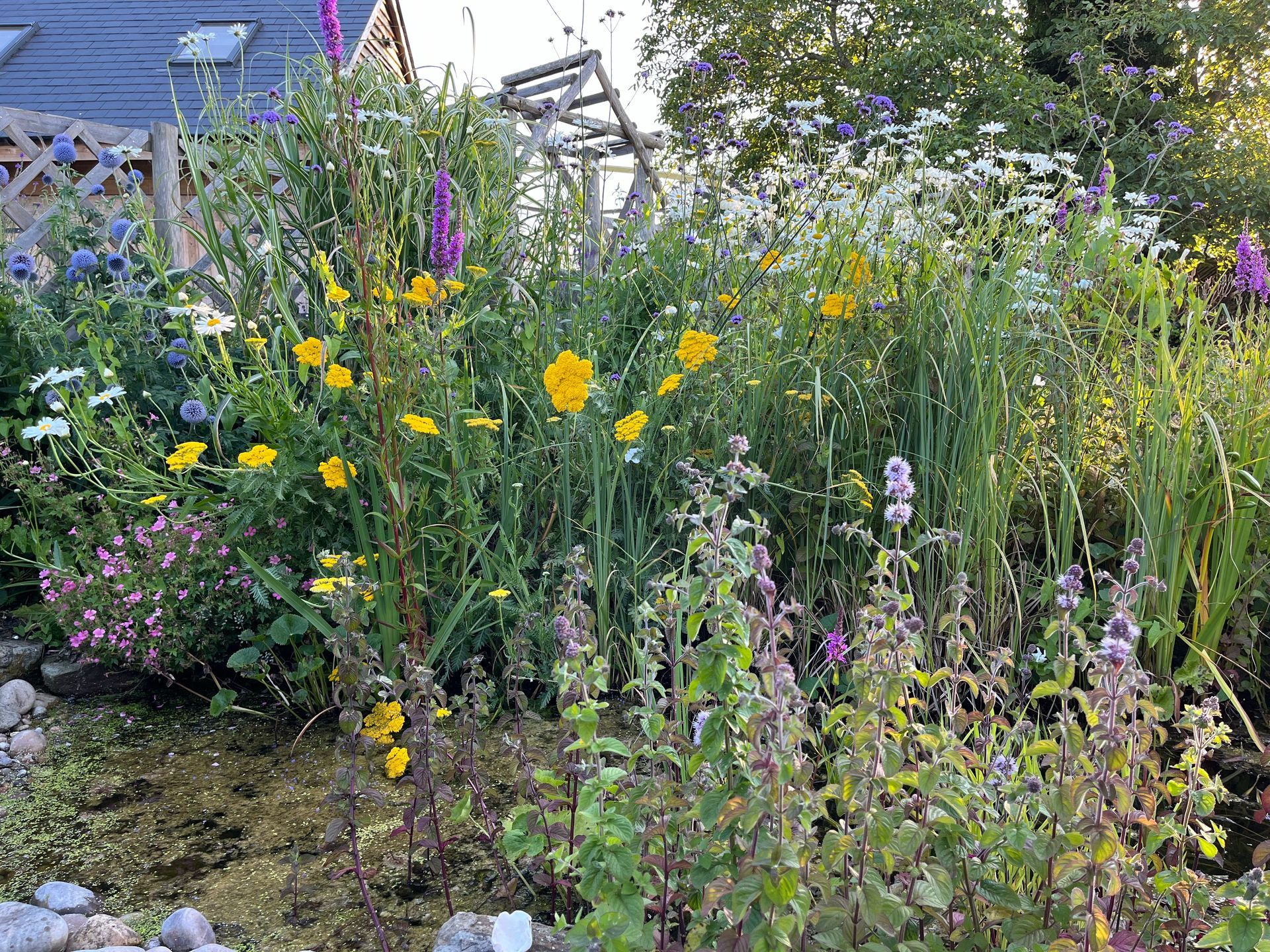 Garden planting design, wildlife-friendly, pollinators, pond margin, cotswold cottage farmhouse, naturalistic, trellis