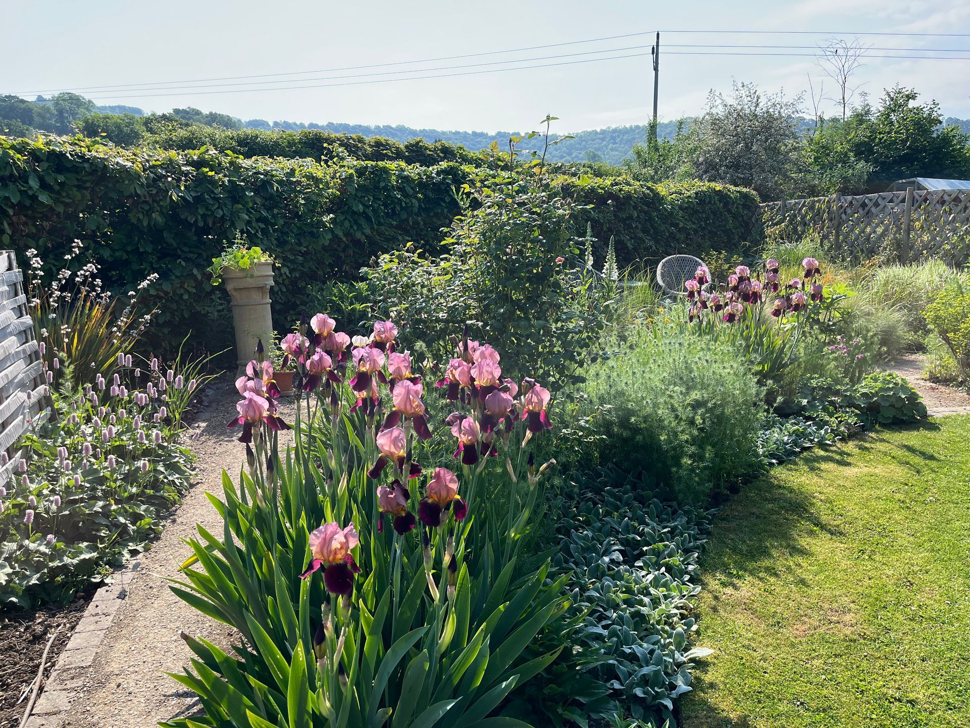 Garden planting design, wildlife-friendly, spring, iris, cottage, beech hedge, seating, circular lawn, path, chimney planter