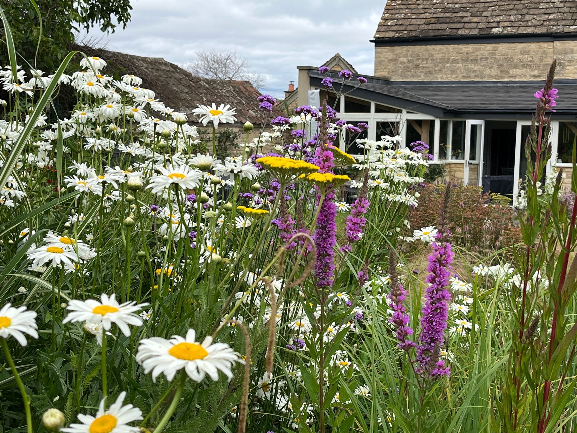 Garden planting design, wildlife-friendly, pollinators, wildflowers, cotswold cottage farmhouse, naturalistic, english