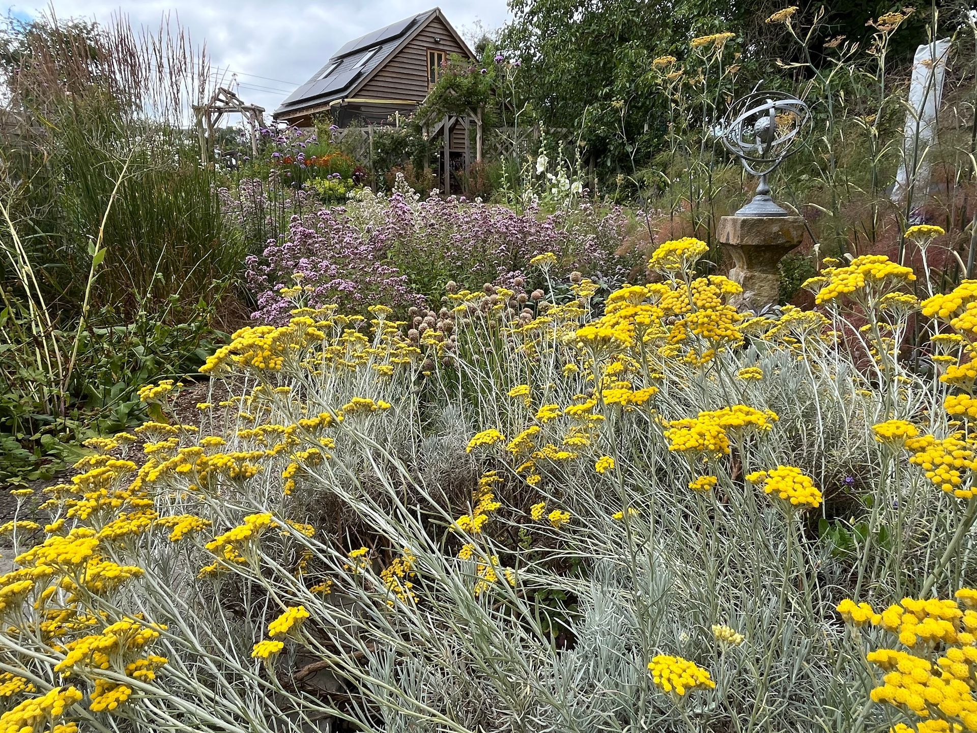 Garden planting design, wildlife-friendly, pollinators, herbs, cotswold cottage farmhouse, mediterranean, curry plant