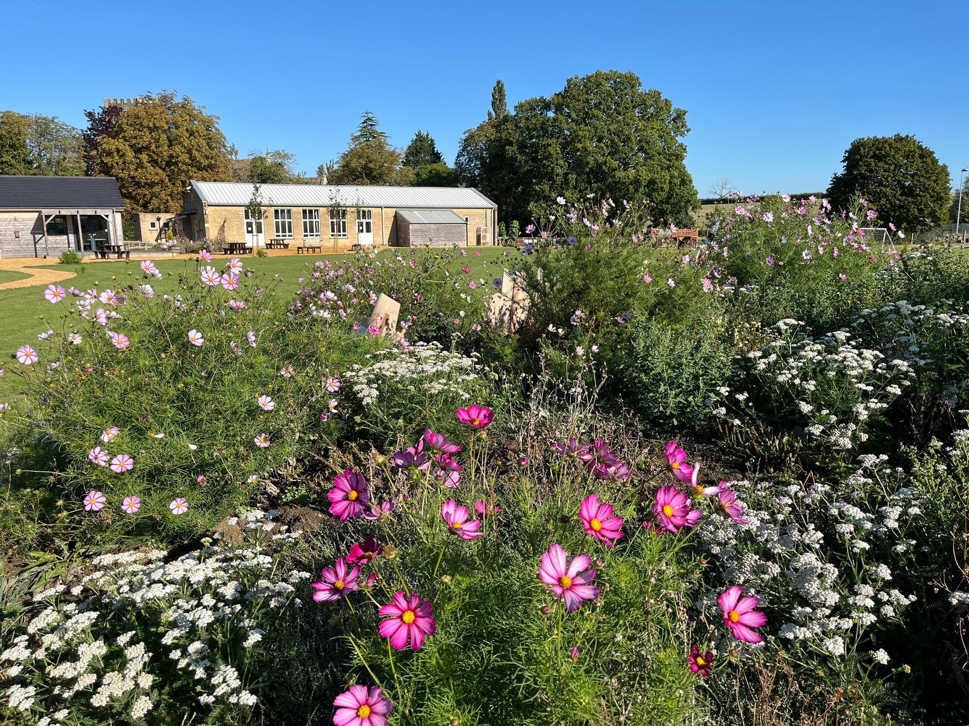 Public space design, park, recreation ground, wildlife friendly planting, pollinators, gloucestershire, coaley