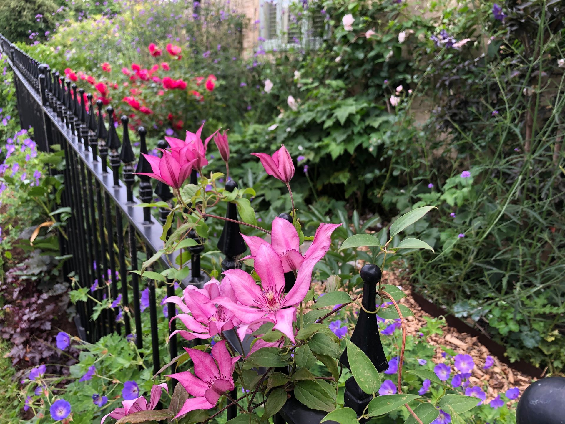 Planting design, wildlife-friendly, cotswold, cottage, farmhouse, railings, fence, boundary, roadside, curb appeal, pink