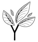 Elizabeth Ely Landscapes logo