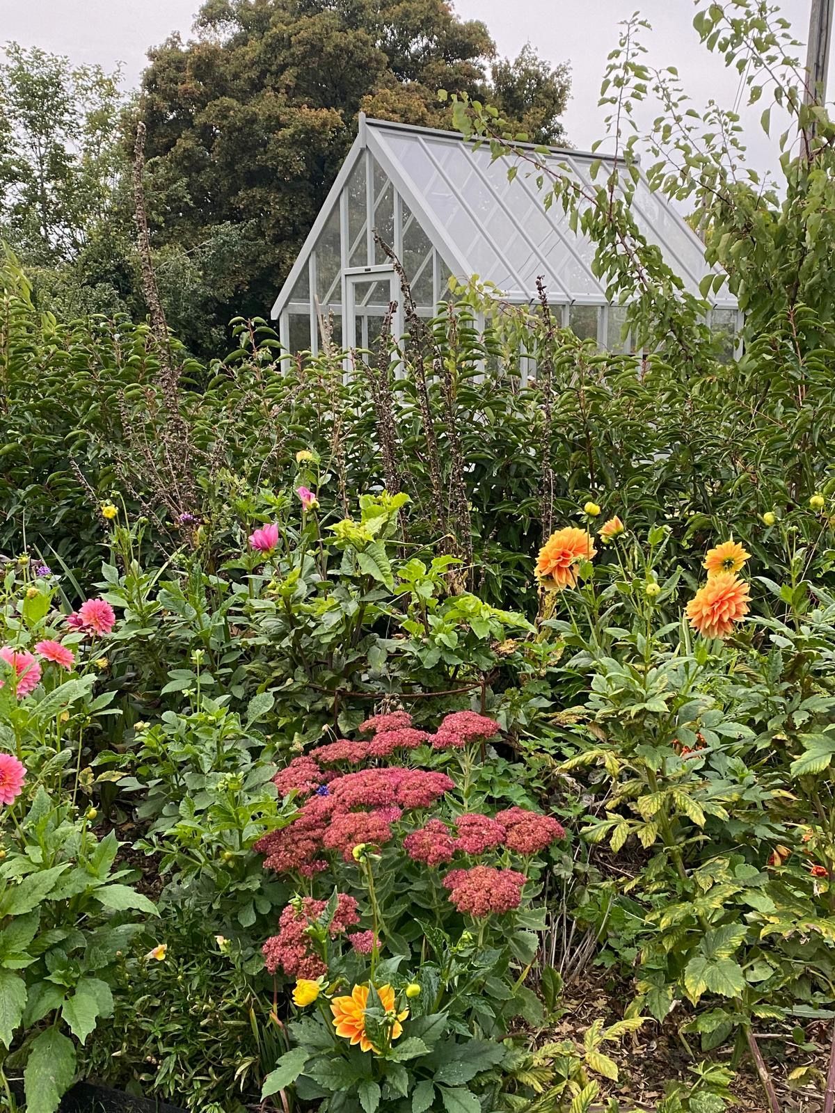 Garden design, planting, wildlife-friendly, organic, cotswold, cottage, farmhouse, naturalistic, greenhouse, vegetables