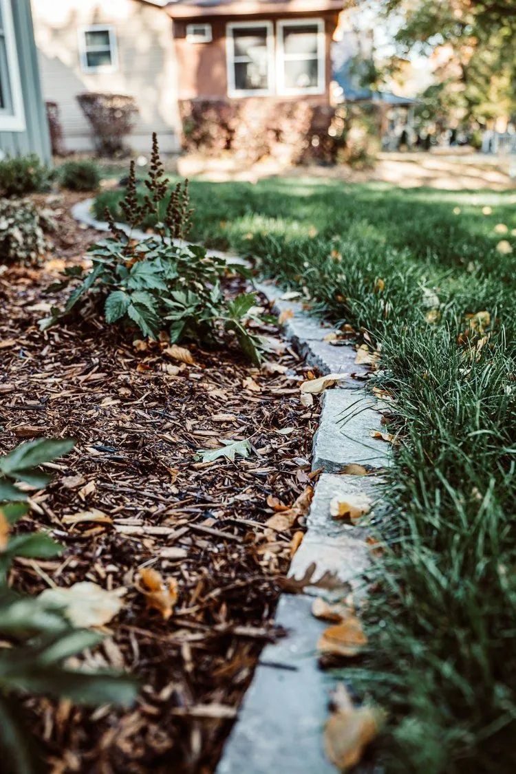 Garden bed with mulch and plants, separated from lawn by stone edging.