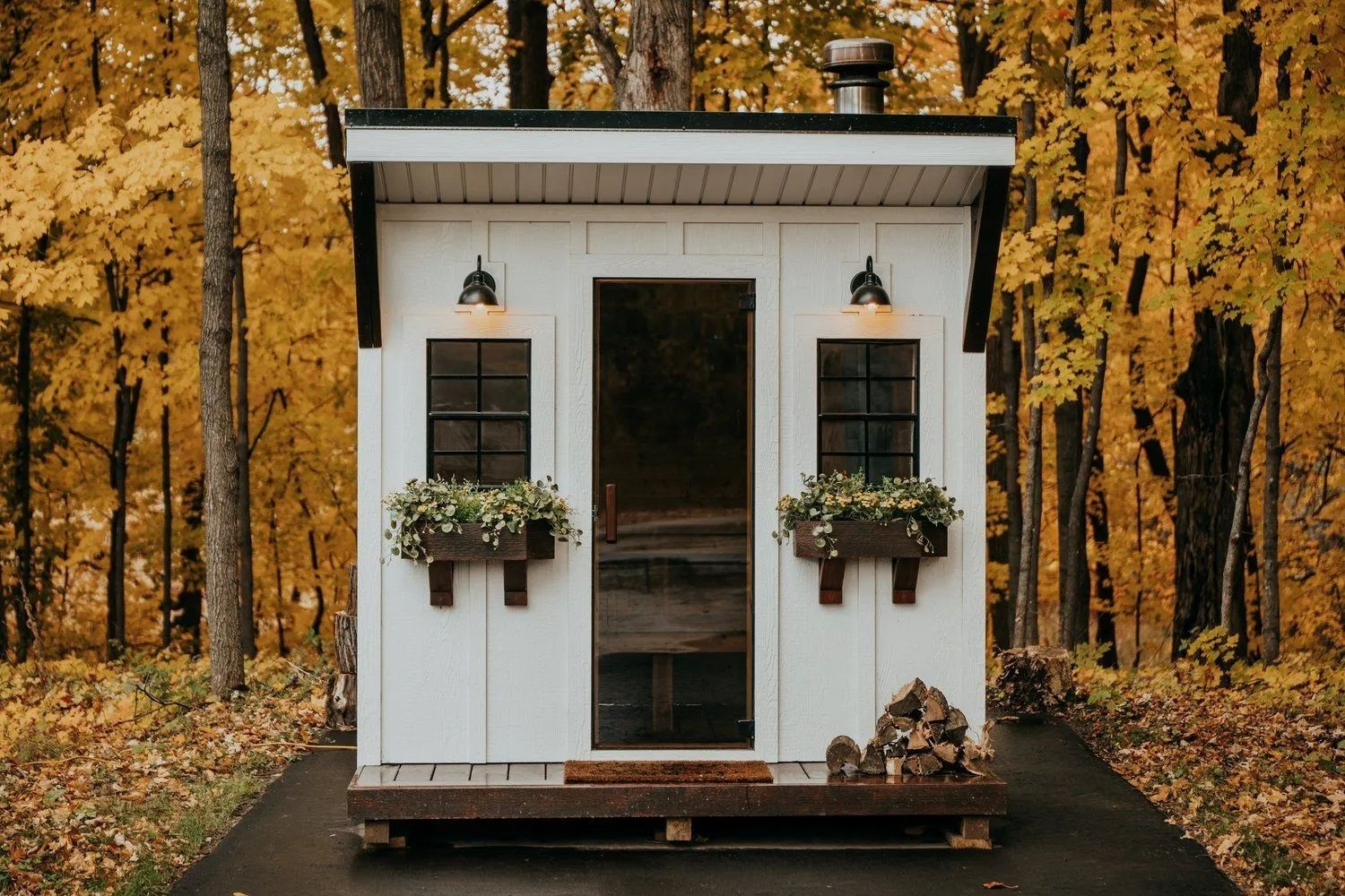 White shed with black-framed windows and a glass door, surrounded by yellow fall foliage.