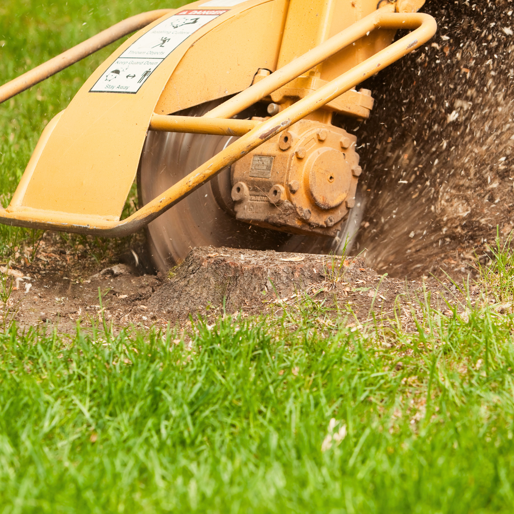 stump grinding georgia
