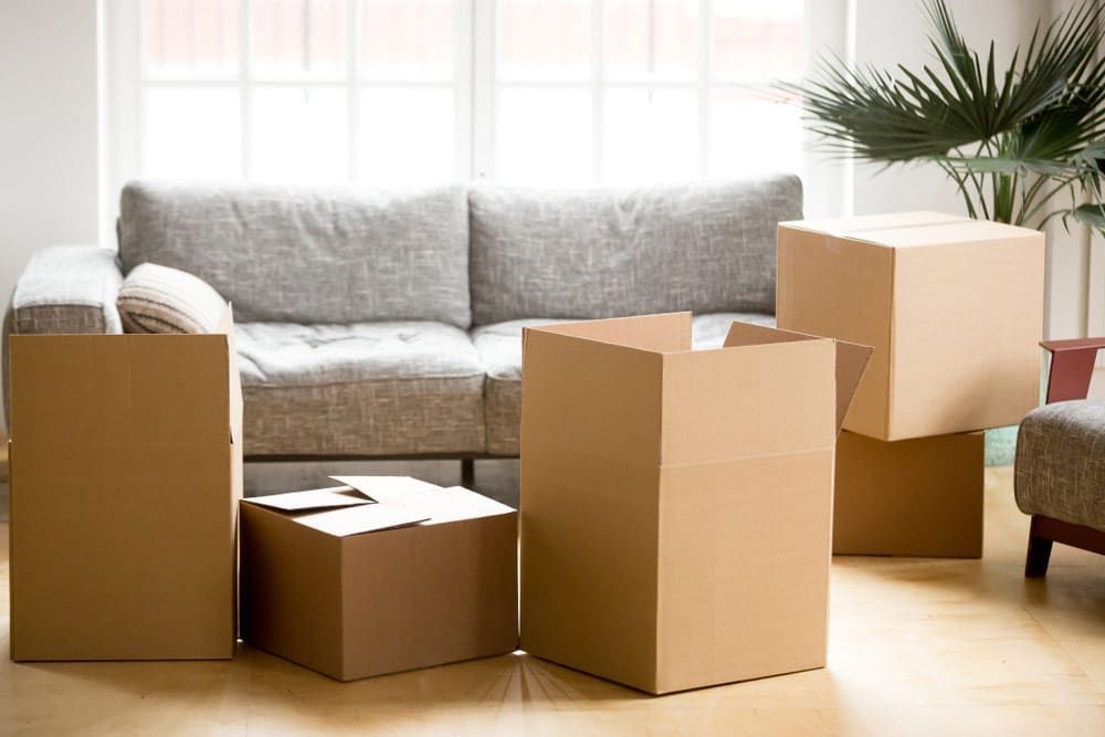 Living Room Filled With Cardboard Boxes and a Couch — Bargara Removals in Rubyanna, QLD