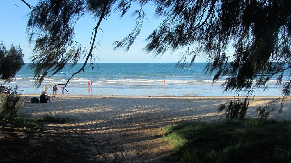 View of a Beach Through a Tree Branch — Bargara Removals in Woodgate, QLD