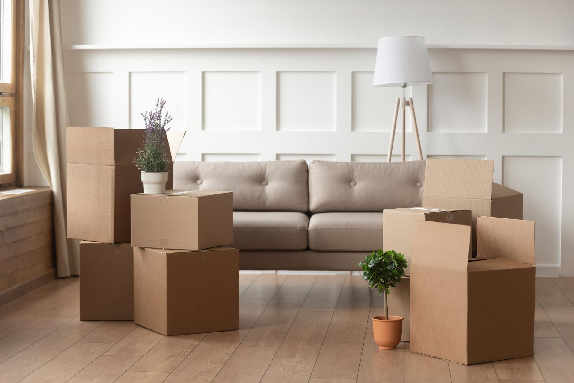 Living Room Filled With Cardboard Boxes and a Couch — Bargara Removals in Gayndah, QLD
