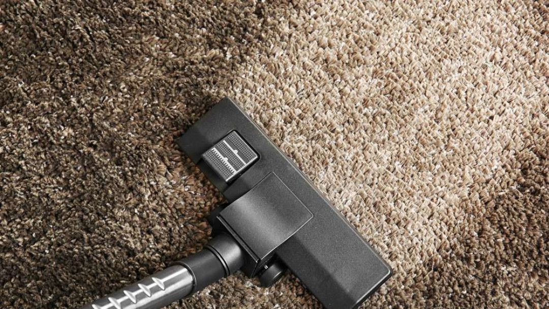 Black vacuum cleaner head on beige carpet, cleaning the floor