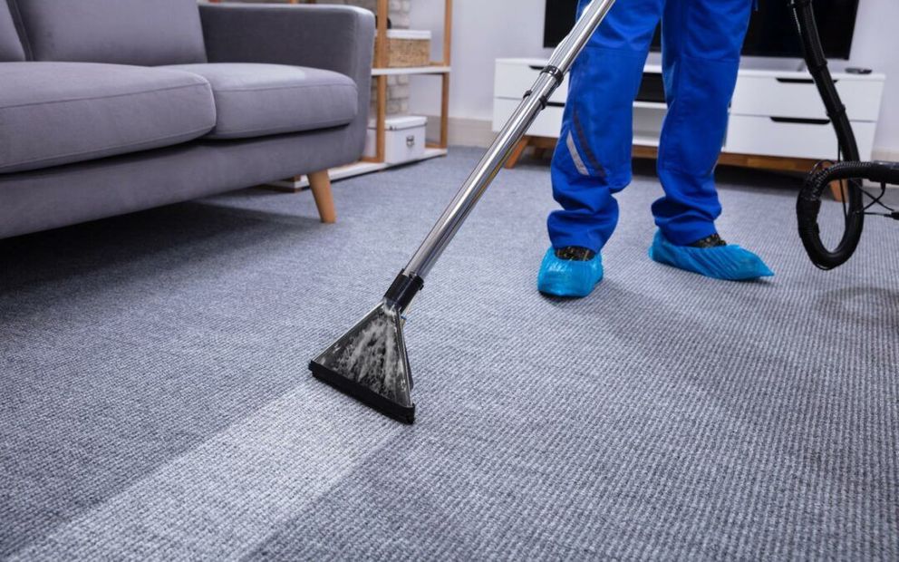 Vacuuming a gray carpet in a living room, with a gray sofa and blue shoe covers visible.