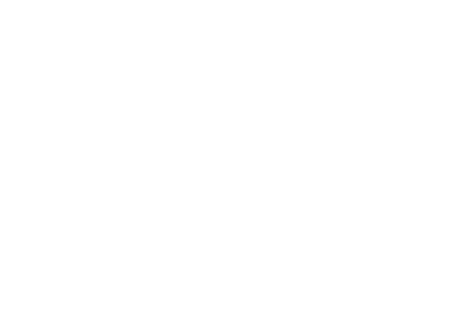 SecuriGroup Systems logo white