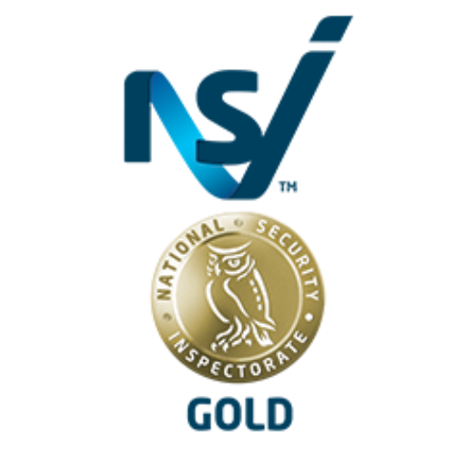 NSI logo