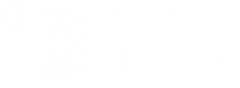logo balcon solution blanc