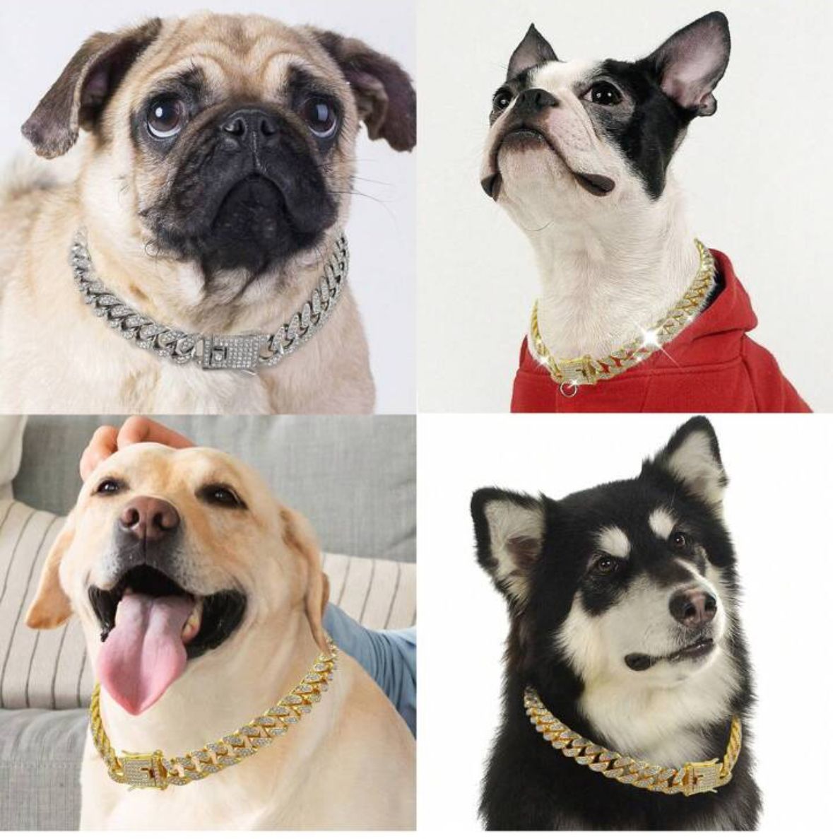 Pet Bling Chain