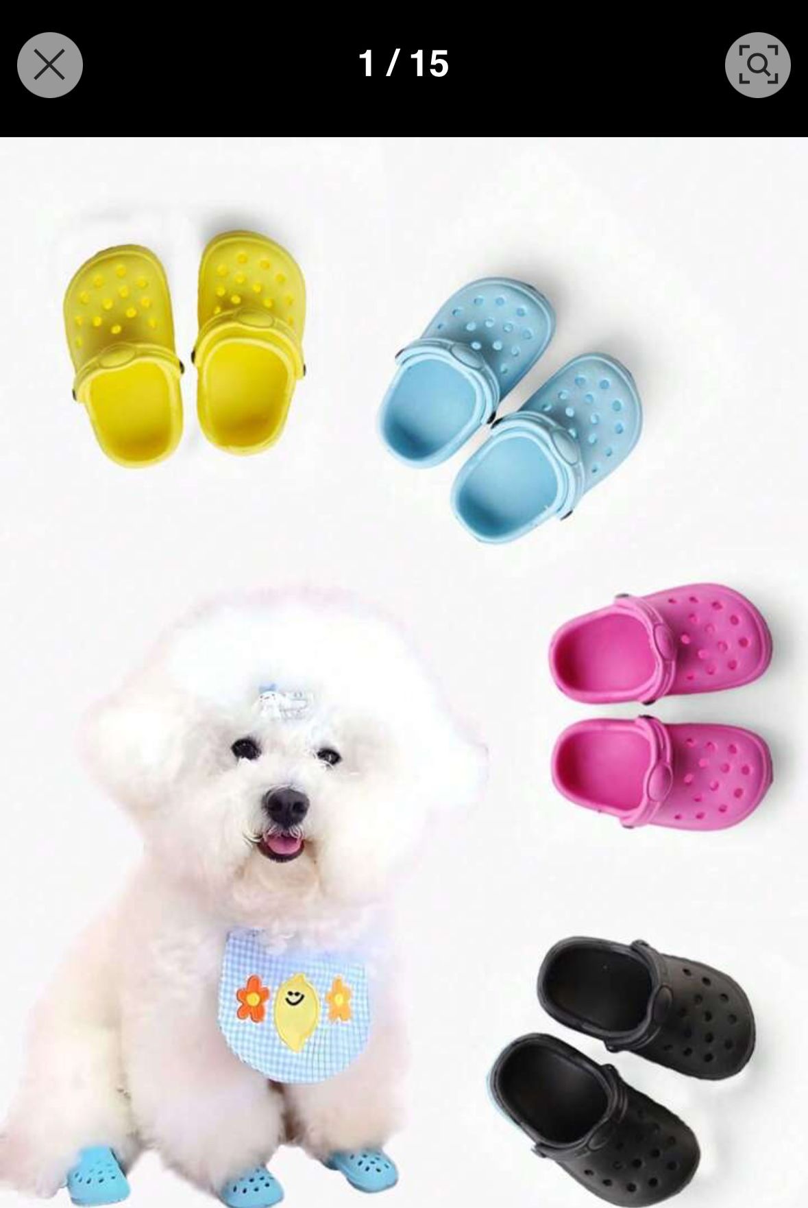Pup Slides