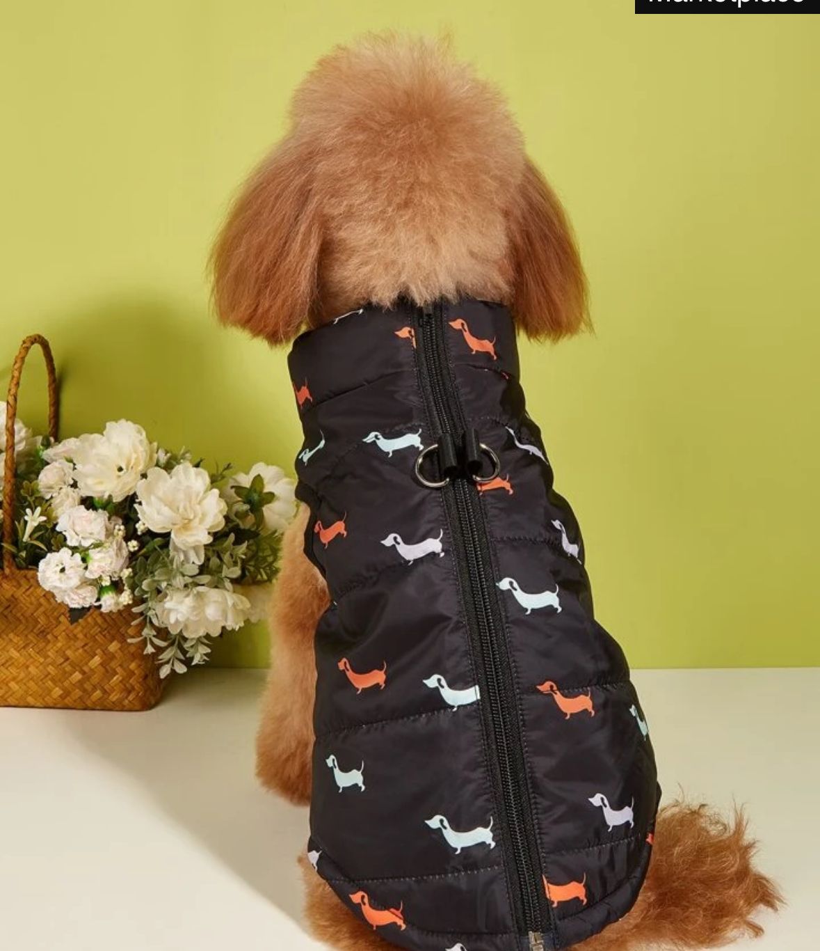 Dog Vest
