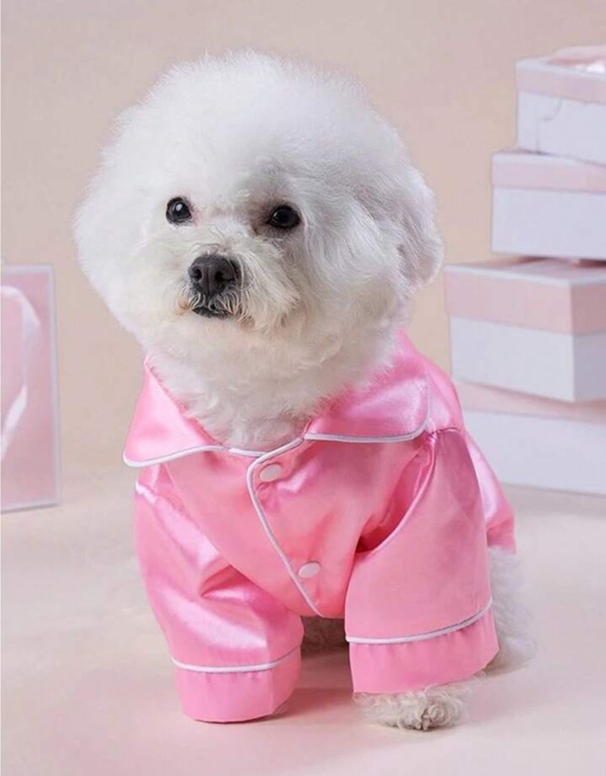 Pet Jamas