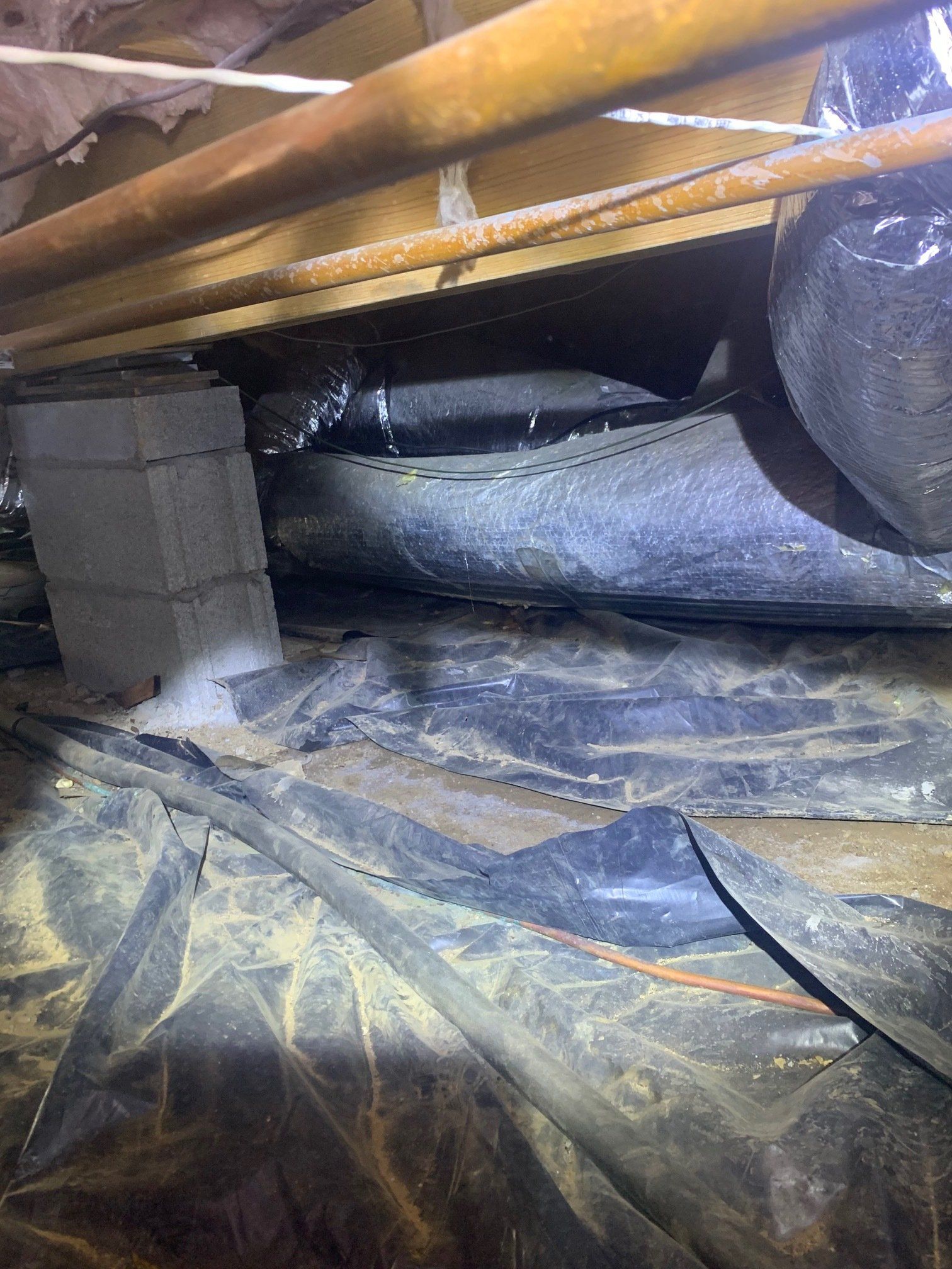 Crawlspace-Before