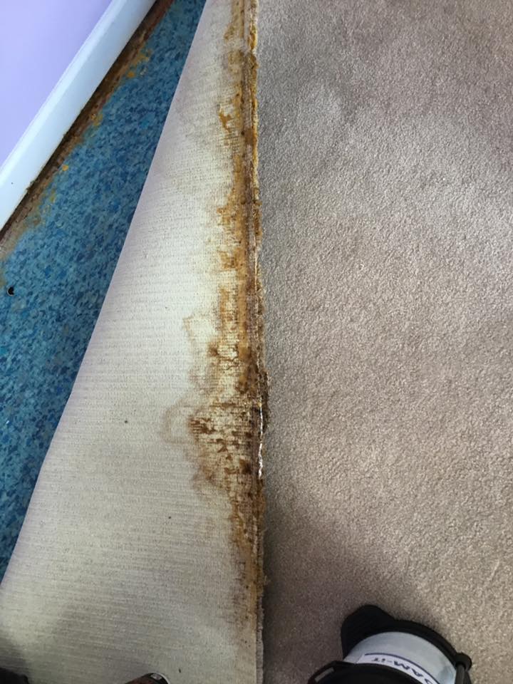 A close up of a carpet with a stain on it.