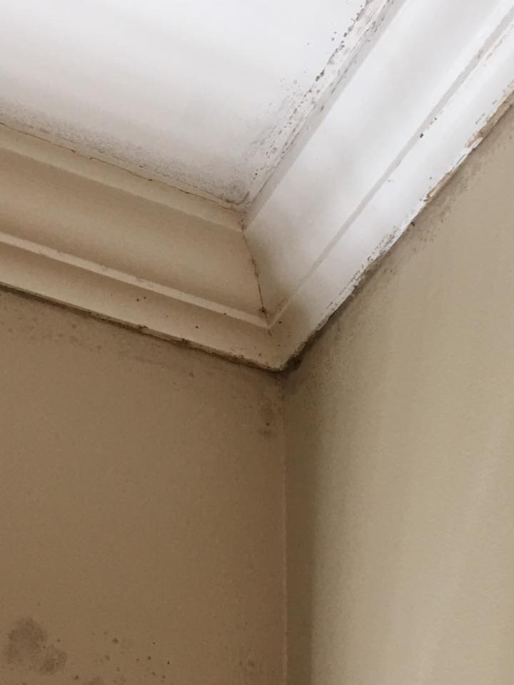 A corner of a room with mold on the ceiling and walls.