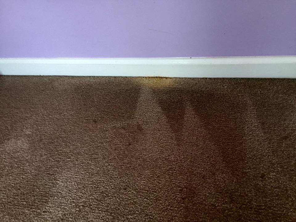 A close up of a brown carpet with a purple wall in the background.