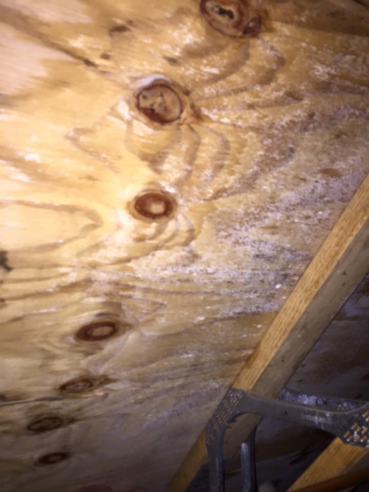 A close up of a piece of plywood in an attic.
