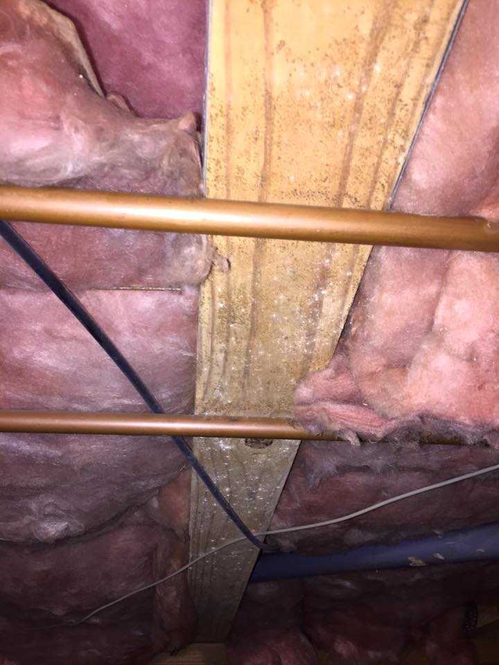 A close up of a ceiling with insulation and pipes.