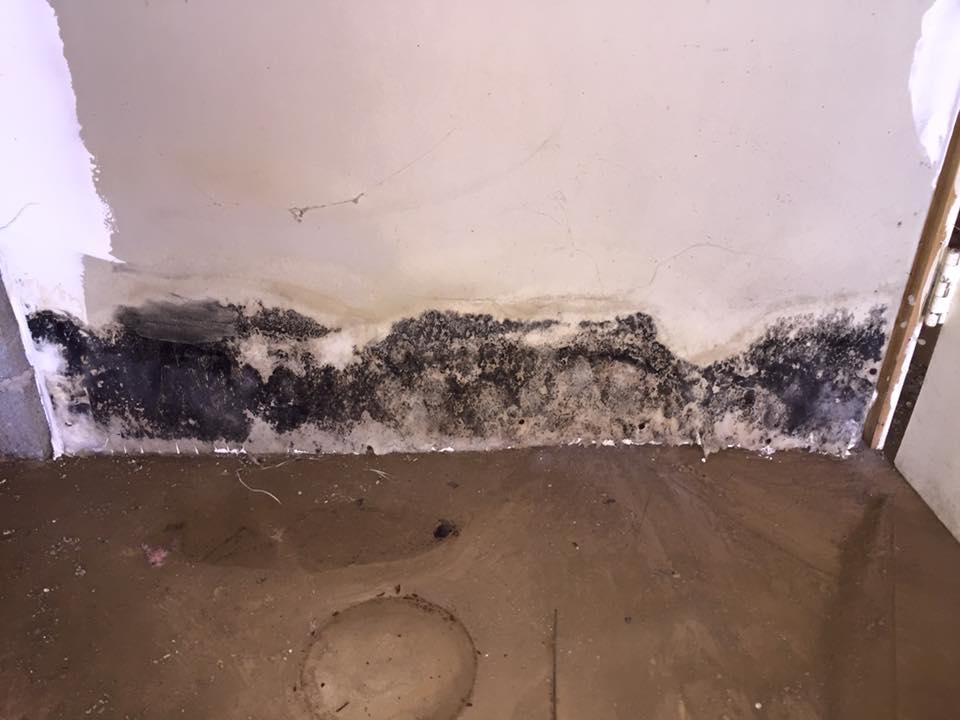 There is a lot of black mold on the wall and floor.