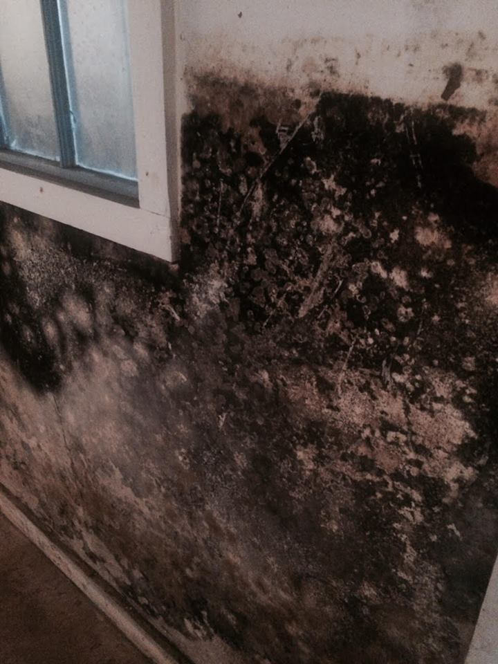 A black and white photo of a mouldy wall next to a window.