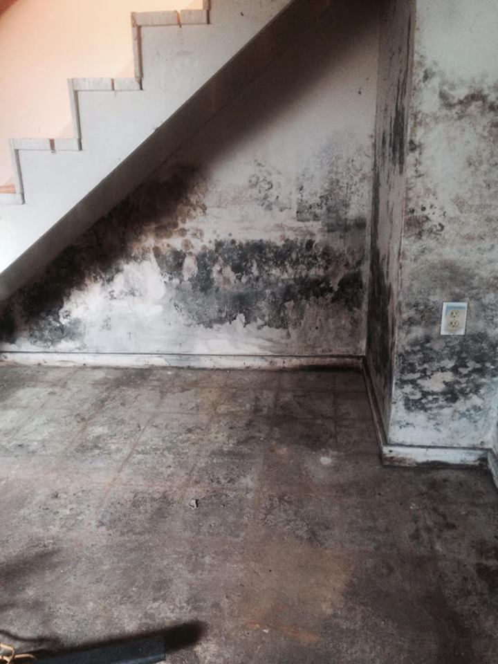 A room with a staircase and a wall with mold on it.