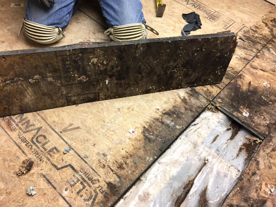 A person is kneeling on a piece of plywood that says penn eagle on it