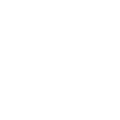 A white background with a few lines on it